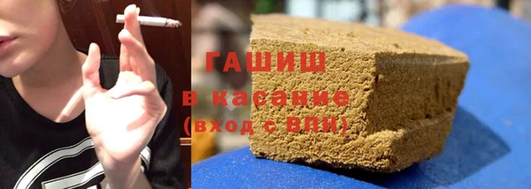 шишки Арсеньев