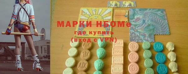 шишки Арсеньев