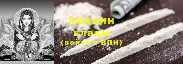 шишки Арсеньев