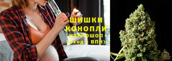 прущие крисы Тавда
