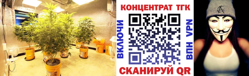 Дистиллят ТГК гашишное масло  Петухово 